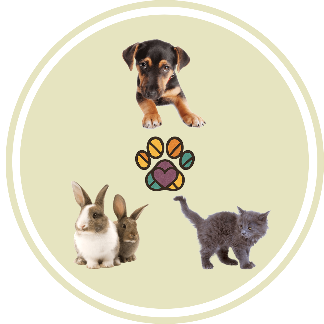 Puppy training guide