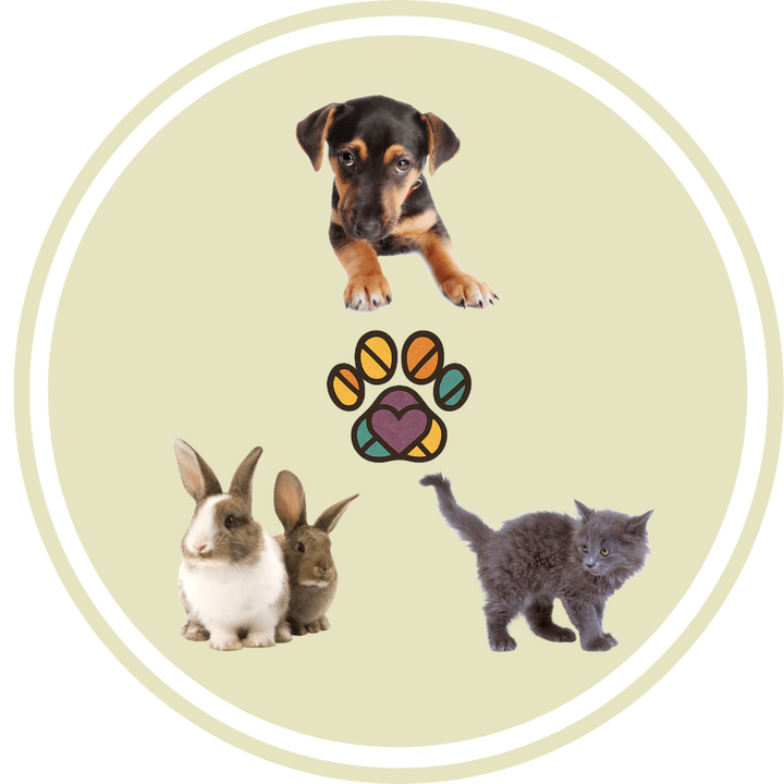 Puppy training guide